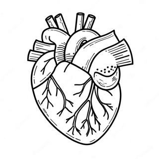 Heart Anatomy Coloring Page 3950-3195