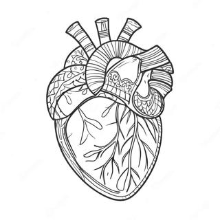 Detailed Heart Anatomy Coloring Page 3951-3198