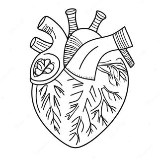 Detailed Heart Anatomy Coloring Page 3951-3200