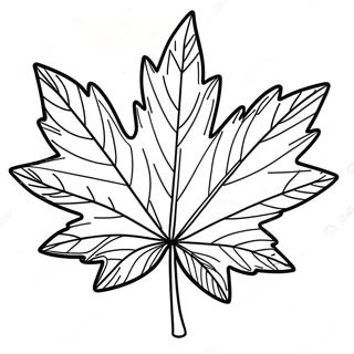 Maple Leaf Coloring Pages