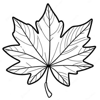 Maple Leaf Coloring Page 39807-33023