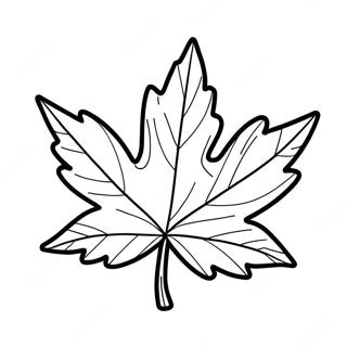 Maple Leaf Coloring Page 39807-33024