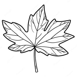 Beautiful Maple Leaf Coloring Page 39808-33025