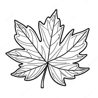 Beautiful Maple Leaf Coloring Page 39808-33026