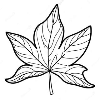 Beautiful Maple Leaf Coloring Page 39808-33028