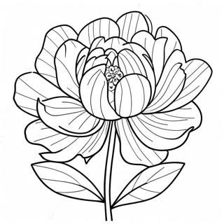 Peony Flower Coloring Page 39897-33090