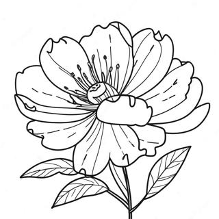 Peony Flower Coloring Page 39897-33091