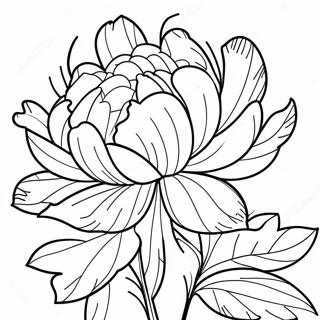 Peony Flower Coloring Page 39897-33092