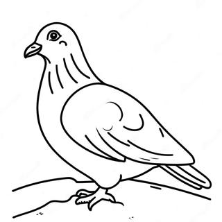 Pigeon Coloring Page 39907-33099