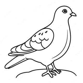 Pigeon Coloring Page 39907-33100