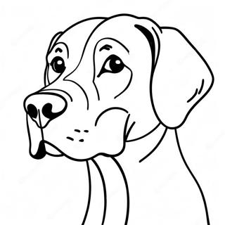 Great Dane Coloring Page 39937-33128