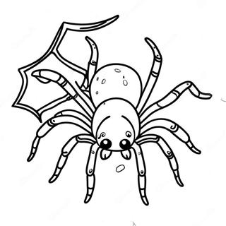 Tarantula Coloring Page 40517-33584