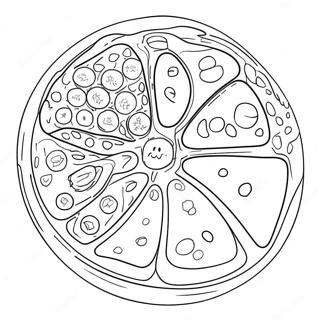 Animal Cell Diagram Coloring Page 40618-33662