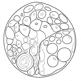 Animal Cell Diagram Coloring Page 40618-33663