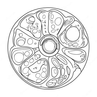 Animal Cell Diagram Coloring Page 40618-33664