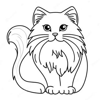 Fluffy Ragdoll Cat Coloring Page 41019-33982