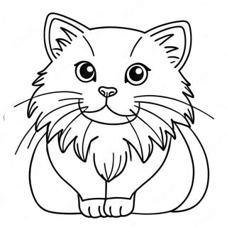 Fluffy Ragdoll Cat Coloring Page 41019-33983