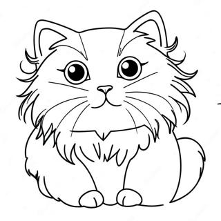 Fluffy Ragdoll Cat Coloring Page 41019-33984