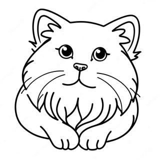 Fluffy Ragdoll Cat Coloring Page 41019-34074