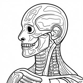 Human Anatomy Coloring Page 41399-34354