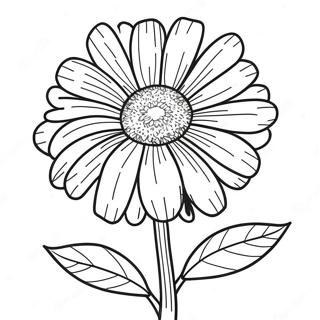 Marigold Flower Coloring Page 41559-34491