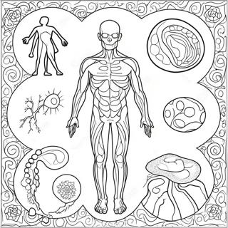 Body Systems Coloring Pages