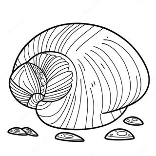 Clam Coloring Page 42801-35646