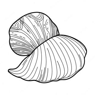 Clam Coloring Page 42801-35648