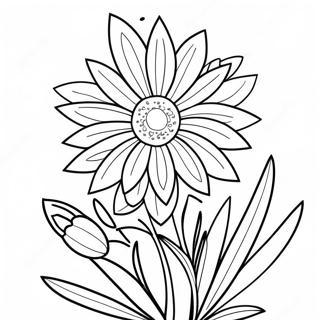 Nebraska State Flower Coloring Page 43392-36116