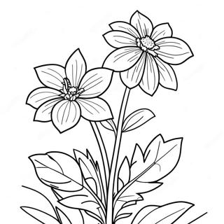 Beautiful Nebraska State Flower In Bloom Coloring Page 43393-36110