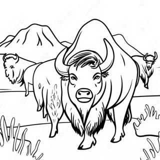 Bison In Yellowstone Coloring Page 43533-36225