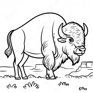 Bison In Yellowstone Coloring Page 43533-36227