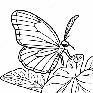 Colorful Leafwing Butterfly Coloring Page 43623-36300