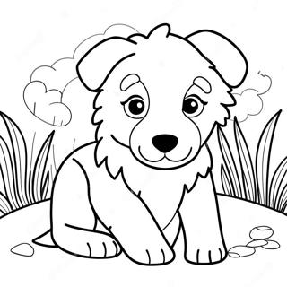 Border Collie Coloring Pages