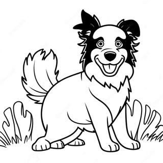 Playful Border Collie Coloring Page 43803-36439