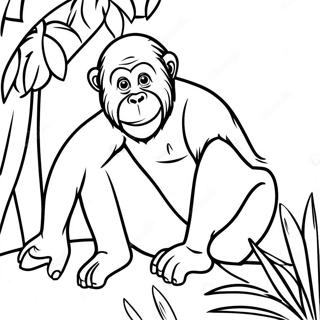 Orangutan Coloring Page 44192-36760