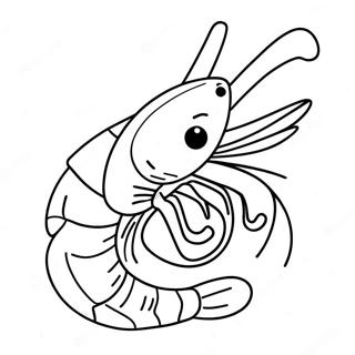 Shrimp Coloring Pages