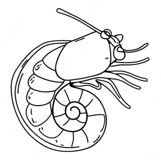 Shrimp Coloring Page 44212-36763