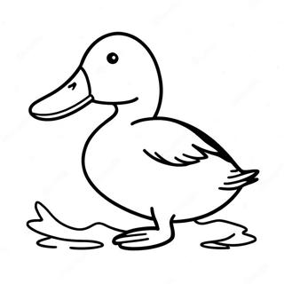 Mallard Duck Coloring Page 45072-37470