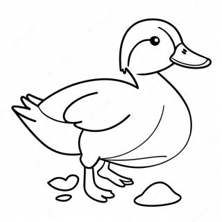 Mallard Duck Coloring Page 45072-37471