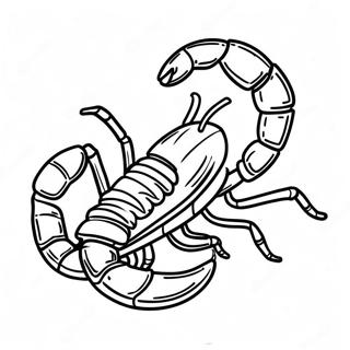 Scorpion In Action Coloring Page 4622-3717