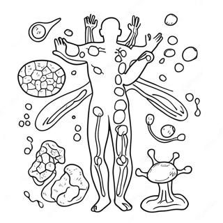 Immune System Diagram Coloring Page 46263-38530