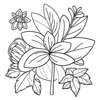 Parts Of A Plant Coloring Page 46483-38711