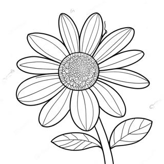 Daisy Flower Coloring Page 471-374