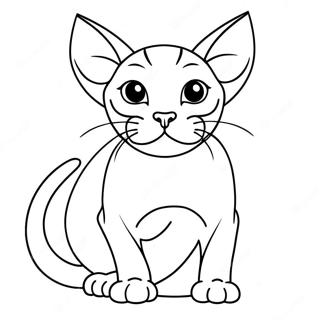 Sphynx Cat Coloring Pages