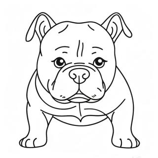 American Bully Coloring Page 47604-39586