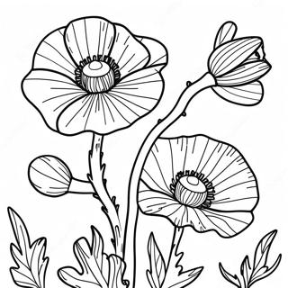 Poppy Flower Coloring Pages