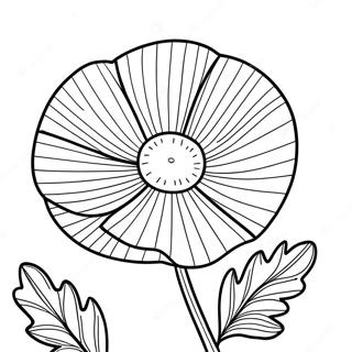 Poppy Flower Coloring Page 48054-39946