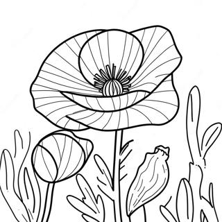 Poppy Flower Coloring Page 48054-39947