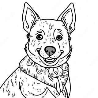 Blue Heeler Coloring Pages